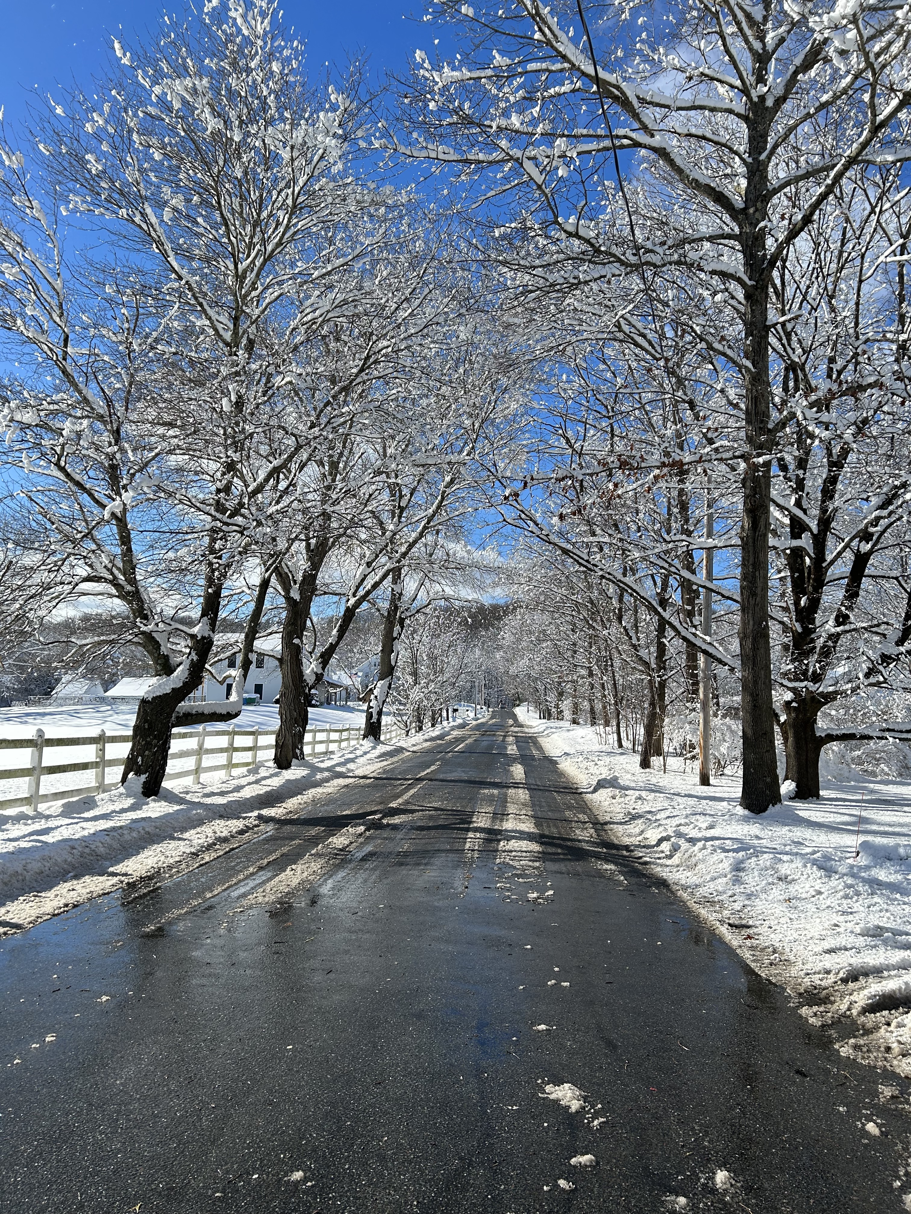 Community Snapshot: A snowy day in Westborough