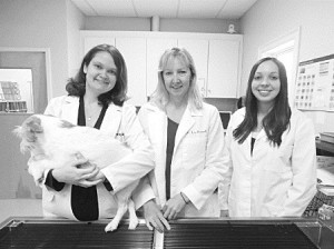 Veterinarians Mischa Leavey, Liz Russell, and Chelsea Pomeroy of Healthy Paws (Photo/submitted)