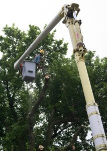 Skyhook Tree professionals in action Photo/submitted 