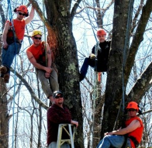 Steve Stratton, top right, owner of Templeman Tree Service, and his crew, (top l to r): Nick Misiaszek and Brandon Cranton. (bottom l to r): Erik Ronnquist and John Williford. Photo/submitted