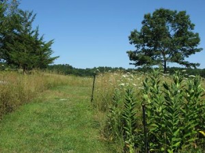 Breakneck Hill conservation land offers pleasant walk, beautiful views