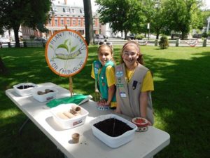As Grafton Girl Scouts work towards badge, they help other learn about endangered species