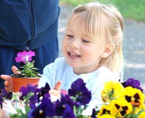 Hayley Ross, 3, finds flowers she likes.