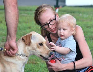 Jaxx, a Worcester County Sheriff K-9, meets Breanna Bishop and her son Sawyer Gagnon, 1.