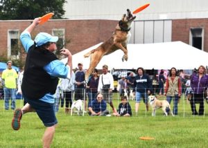 Pet Rock Fest benefits animal causes for 20th year