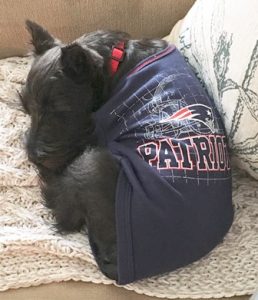Sweet dreams for Patriots&#8217; littlest fan