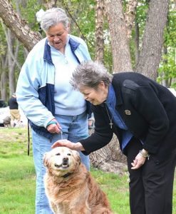 Animals get blessed at Wood Park in Hudson