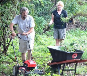 Volunteers maintain new community garden in Hudson