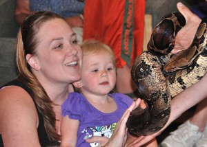 Justina Mailly and her daughter Olivia, 23 months, pet a red-tail boa named Danny. (Photo/Ed Karvoski Jr.)