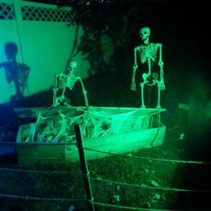 Haunted Hillando Halloween Maze is back and it’s better than ever…