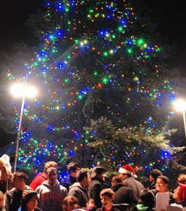 The tree is lit at Union Common.