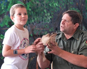 Owen St. Angelo, 7, volunteers to handle a toad during the Rainforest Reptile Show. 