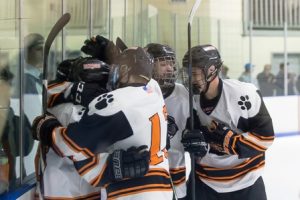 Marlborough hockey tops Algonquin to advance in playoffs