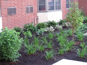 Plants and flowers were added to make the courtyard more appealing to residents.