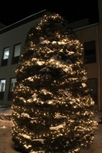 The Tree of Light at Marlborough Hospital.