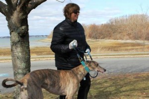 Ann Marie Rakovic and her adopted greyhound Ozzie. (Photo/submitted)
