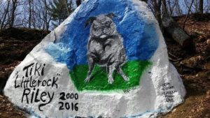 Tiki memorialized on the rock at the Marlborough-Hudson border