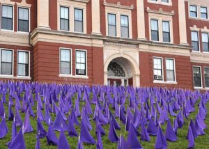 Confirmed overdose deaths statewide in 2017 are represented with 1,909 purple flags placed by volunteers Aug. 25 on the lawn of the Walker Building. Photos/Ed Karvoski Jr.