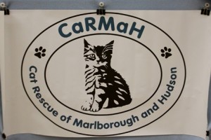 Marlborough/Hudson cat rescue group gets new name