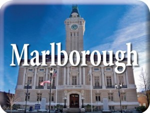 Marlborough large web icon