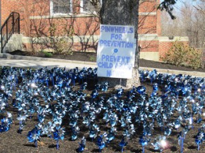 Pinwheels shimmer in the sunlight at Town Hall. Photo/Bonnie Adams  
