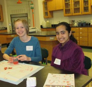 Young women participate in STEM conference