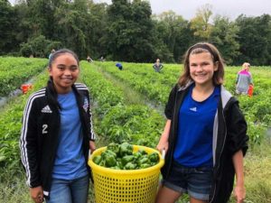 Middle School Youth Group volunteers at Community Harvest farm