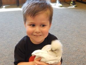 Farm visitors delight young Northborough library patrons