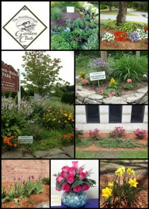 (Clockwise from upper left) The Northborough Garden Club logo, plant sale offerings, town beautification, town line planter, library rose bushes, daffodil "kinder-garden" project at Fannie E. Proctor Elementary School, member floral arrangement, tulip "kinder-garden" at Proctor, McAfee-Ellsworth Park planter (Photo/submitted)