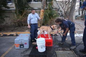 Hudson firefighter aids hurricane recovery in Puerto Rico
