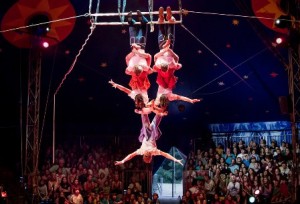 Traditional circus acts such as high wire will be showcased. 
