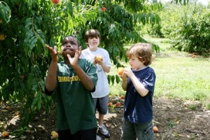 A New York City boy juggles peaches at Tougas Family Farm in Northborough with new friends from his host family of Shrewsbury. Photo/submitted 