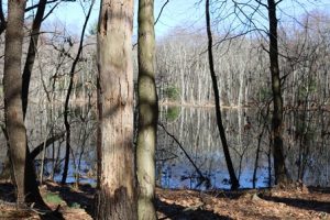 Southborough’s art on the trails