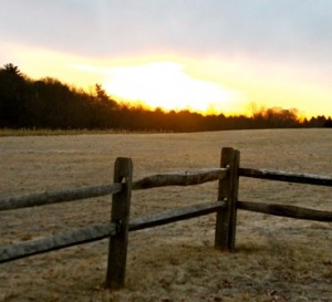 The sun rises at Chestnut Hill Farm