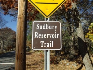 Crosswalk of Sudbury Reservoir Trail at Middle Road.