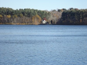 Houses are grouped within trees by the water.
