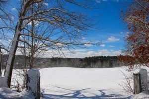 Letter to the Editor: Winter in New England