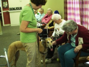 Shrewsbury dog brings comfort to seniors, kids