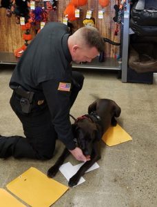 Worcester County Sheriff’s Office welcomes ‘Zeus’ to the team
