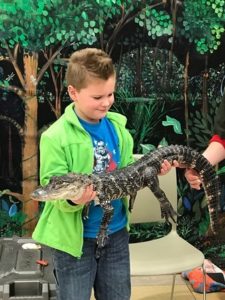 Shrewsbury library ‘goes to the reptiles’