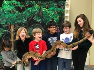 Shrewsbury library ‘goes to the reptiles’