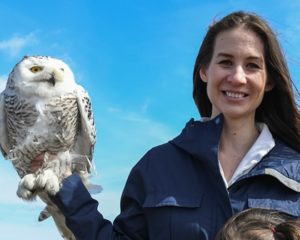 Snowy owl gets second chance thanks in part to Shrewsbury woman