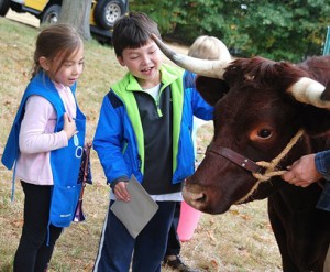 Gracen Huang, 6, and her brother Justice, 8, get a close-up look at a steer from the Woodville Trailbusters 4H Club in Hopkinton.