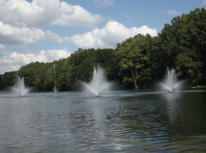 Water Fountains in Dean Park Pond