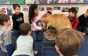 Touchstone elementary students learn about beavers in the classroom and beyond