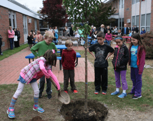 Richer students plant a pear tree during the birthday celebration.