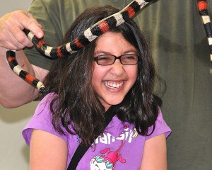 Nadia Huda, 12, volunteers to disprove the myth that snakes are slimy. 