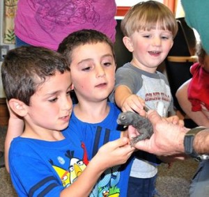 Hands-on animal program in Shrewsbury