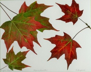 One of Pauline Bergassi's works, featuring Sugar Maple leaves. Photos/Erika Steele