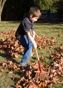 Sh leaf raking 1